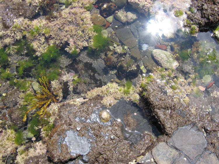 Image 27 of 27  -  177 kB