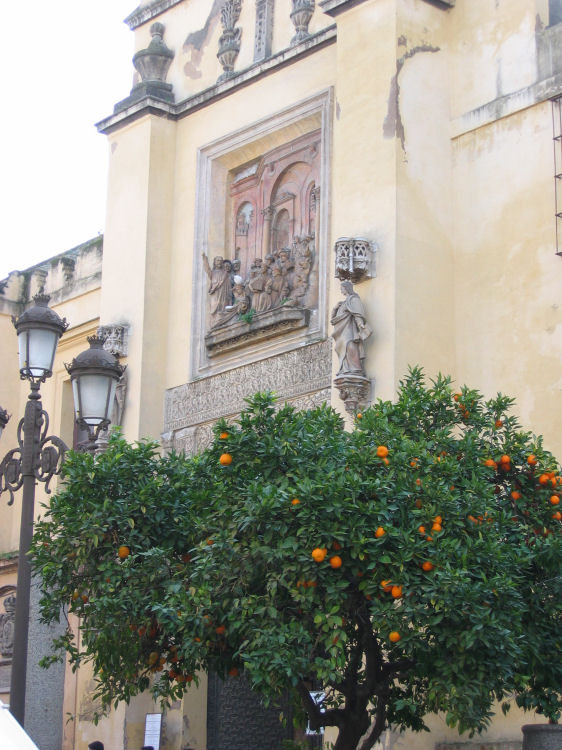 Image 10 of 59  -  119 kB