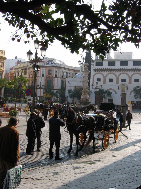 Image 12 of 59  -  138 kB