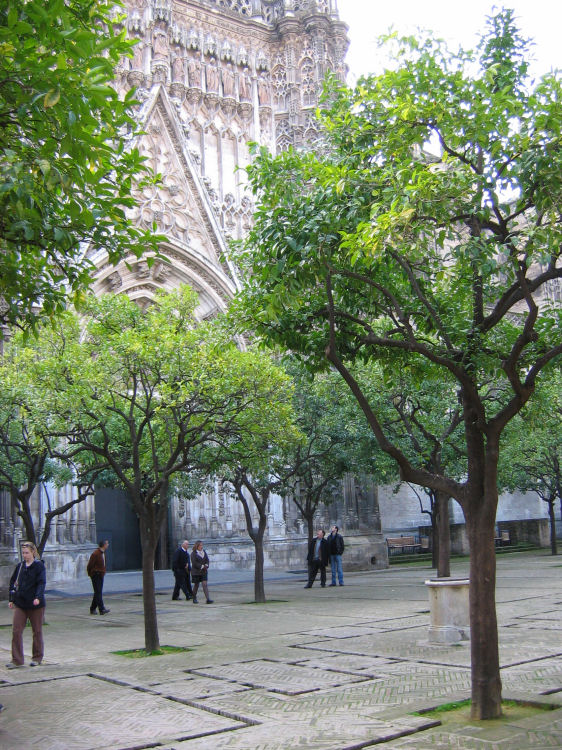 Image 32 of 59  -  179 kB