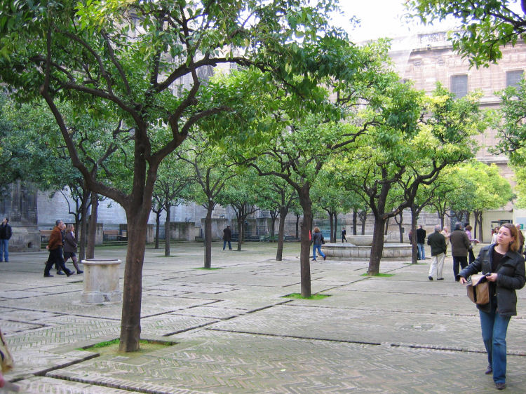 Image 33 of 59  -  169 kB