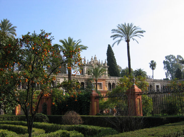 Image 41 of 59  -  125 kB