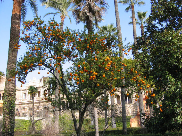 Image 42 of 59  -  212 kB