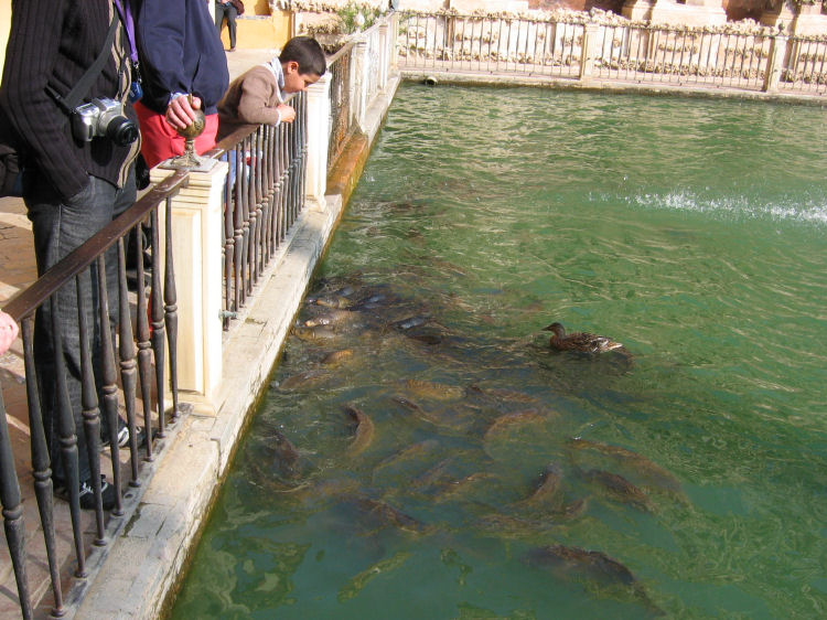 Image 43 of 59  -  122 kB