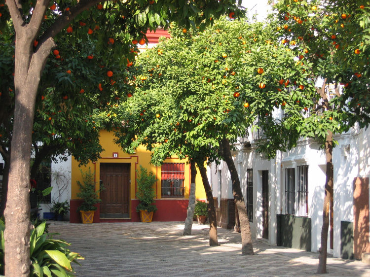 Image 46 of 59  -  174 kB