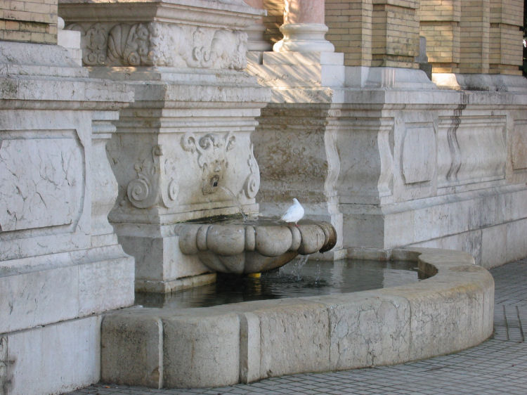 Image 51 of 59  -  97 kB